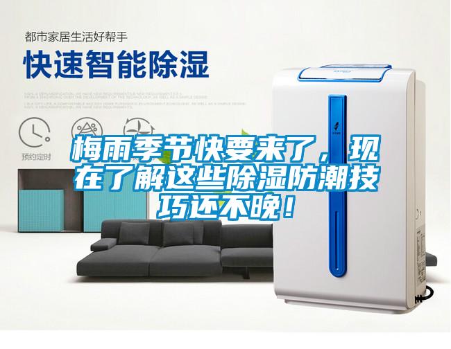 梅雨季節(jié)快要來了，現(xiàn)在了解這些除濕防潮技巧還不晚！