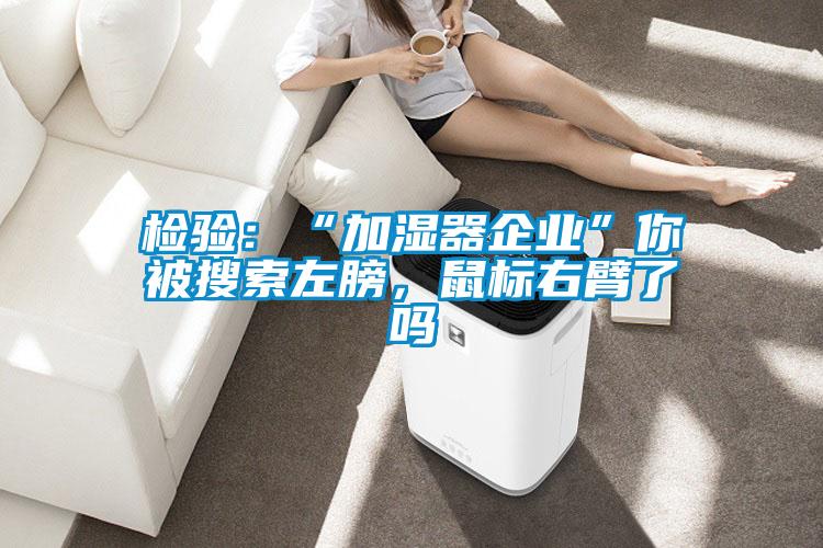 檢驗：“加濕器企業”你被搜索左膀，鼠標右臂了嗎