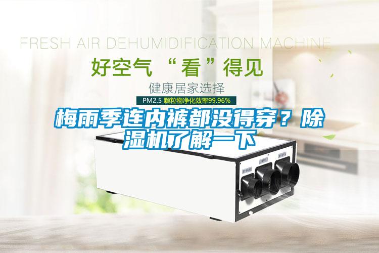梅雨季連內褲都沒得穿？除濕機了解一下