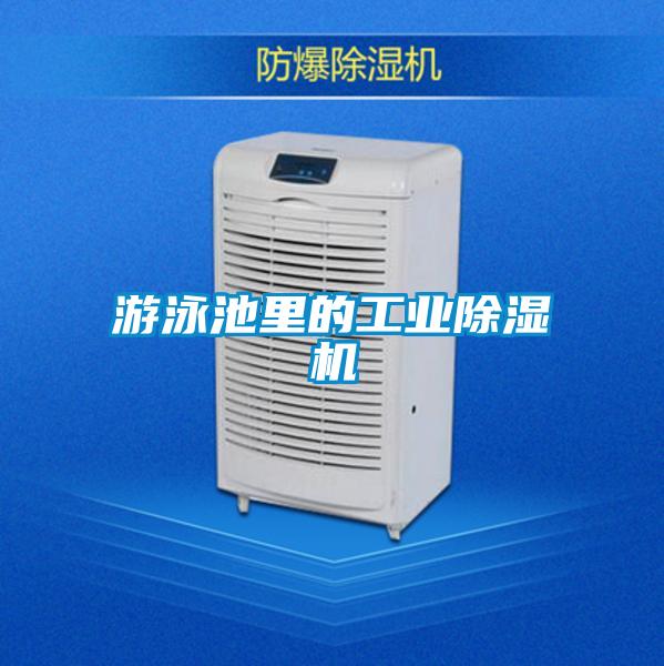 游泳池里的工業除濕機