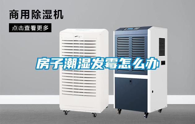 房子潮濕發霉怎么辦