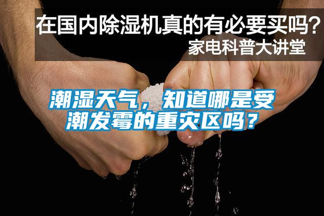 潮濕天氣，知道哪是受潮發(fā)霉的重災(zāi)區(qū)嗎？