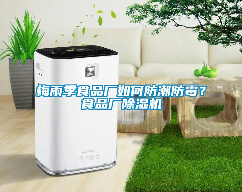 梅雨季食品廠如何防潮防霉？食品廠除濕機