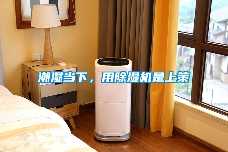 潮濕當下，用除濕機是上策