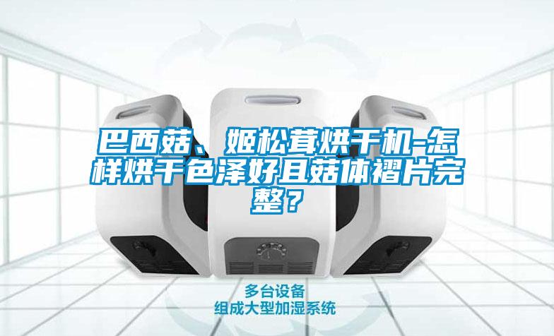 巴西菇、姬松茸烘干機-怎樣烘干色澤好且菇體褶片完整？