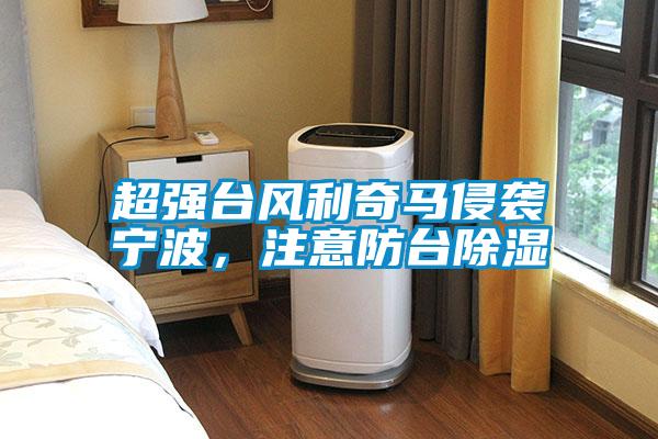 超強(qiáng)臺(tái)風(fēng)利奇馬侵襲寧波，注意防臺(tái)除濕