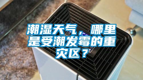 潮濕天氣，哪里是受潮發霉的重災區？