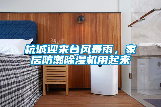 杭城迎來臺風暴雨,家居防潮除濕機用起來