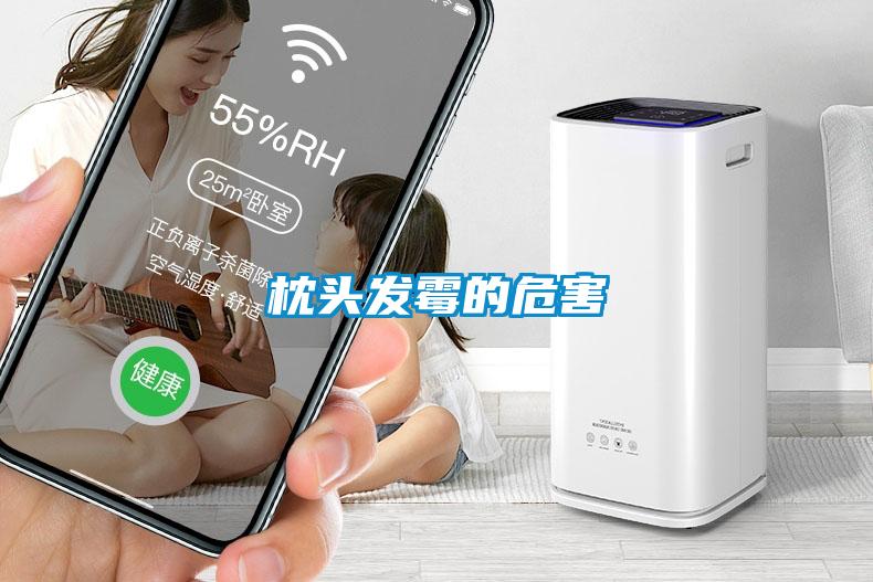 枕頭發霉的危害
