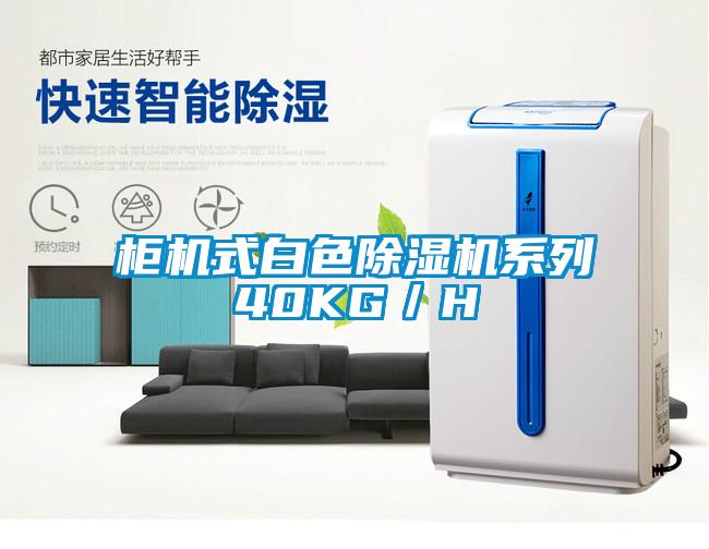 柜機(jī)式白色除濕機(jī)系列40KG／H