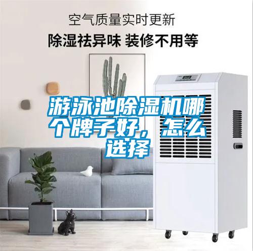 游泳池除濕機哪個牌子好，怎么選擇