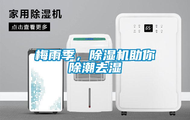 梅雨季，除濕機(jī)助你除潮去濕