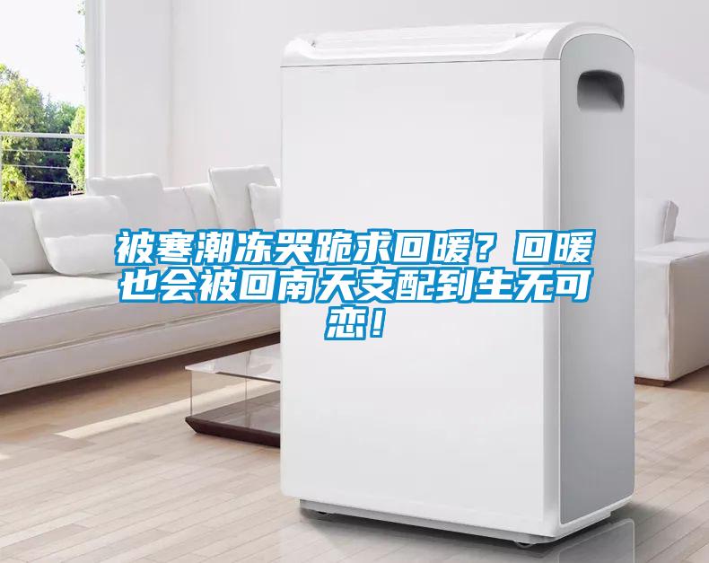 被寒潮凍哭跪求回暖？回暖也會被回南天支配到生無可戀！