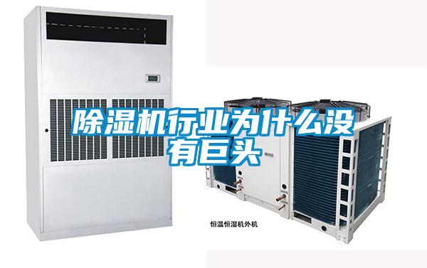 除濕機行業(yè)為什么沒有巨頭