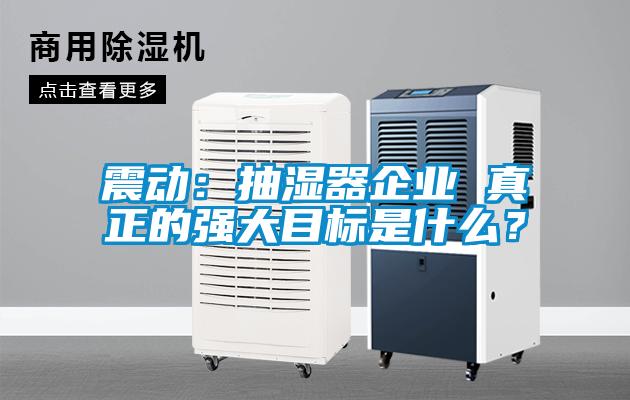震動：抽濕器企業 真正的強大目標是什么？