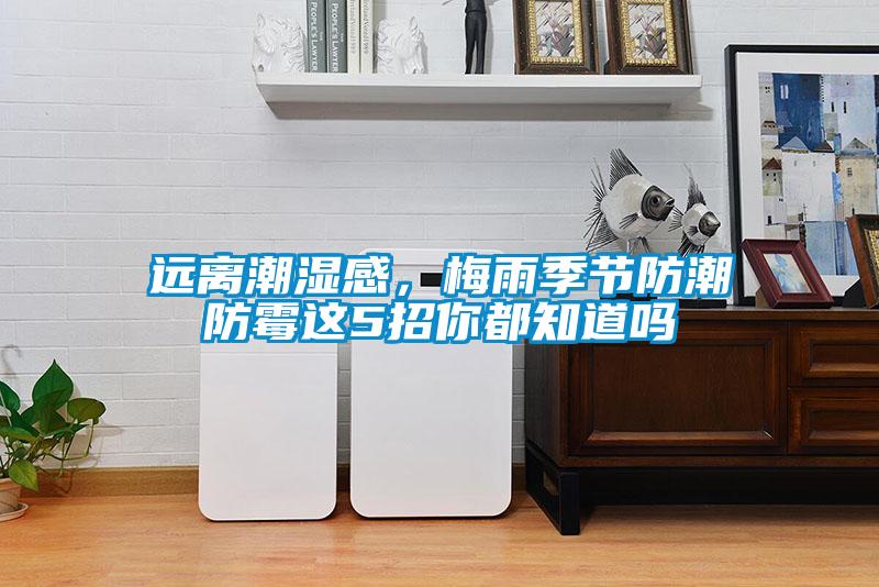 遠離潮濕感，梅雨季節(jié)防潮防霉這5招你都知道嗎