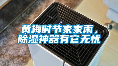 黃梅時節家家雨，除濕神器有它無憂