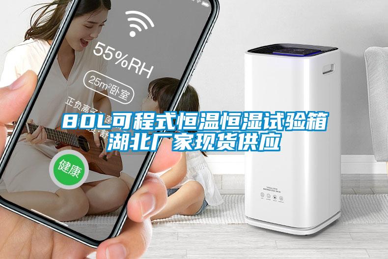 80L可程式恒溫恒濕試驗箱湖北廠家現貨供應