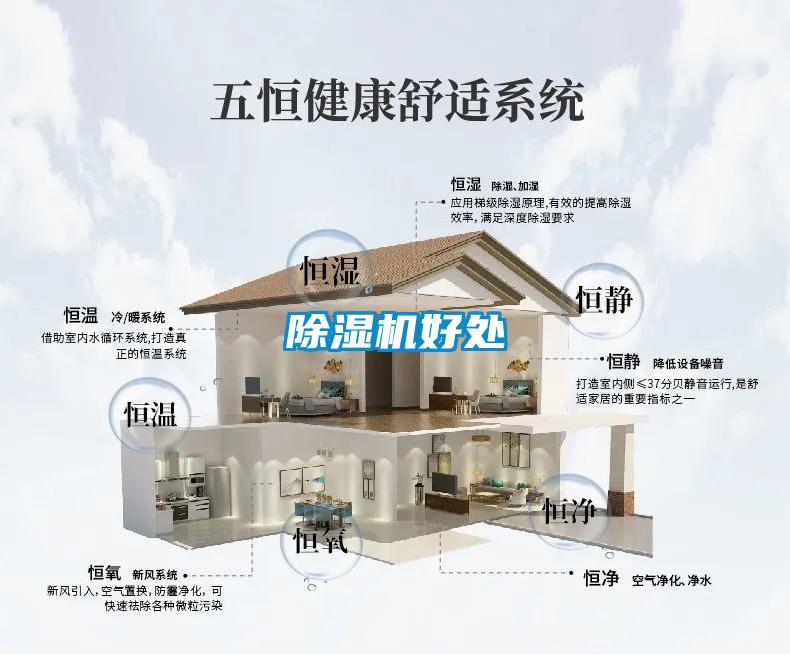除濕機(jī)好處