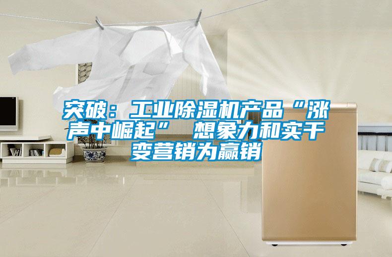 突破：工業(yè)除濕機(jī)產(chǎn)品“漲聲中崛起” 想象力和實(shí)干變營(yíng)銷為贏銷