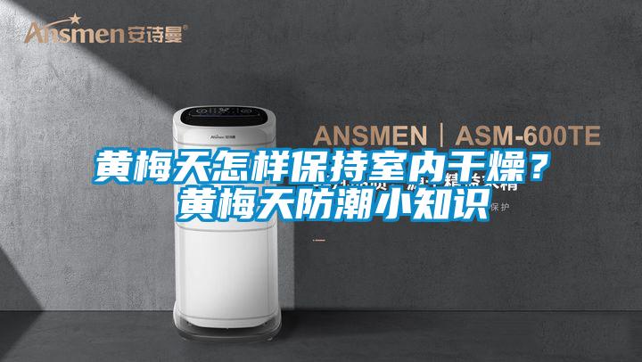 黃梅天怎樣保持室內干燥？ 黃梅天防潮小知識