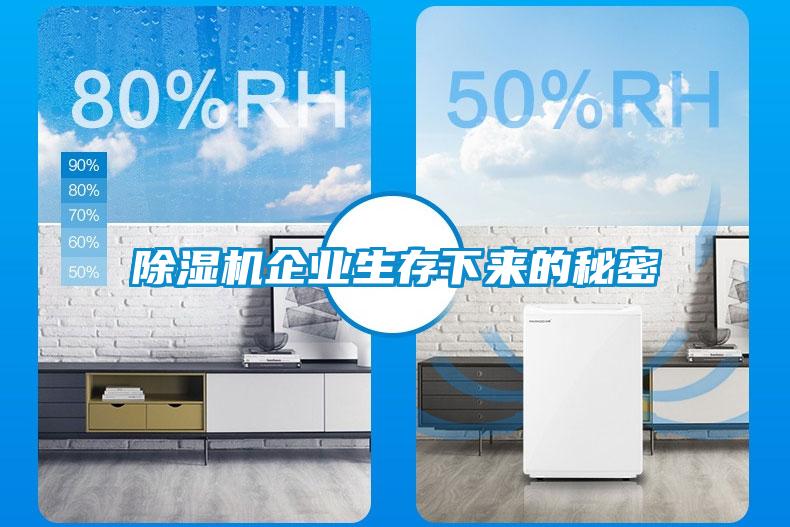 除濕機(jī)企業(yè)生存下來(lái)的秘密