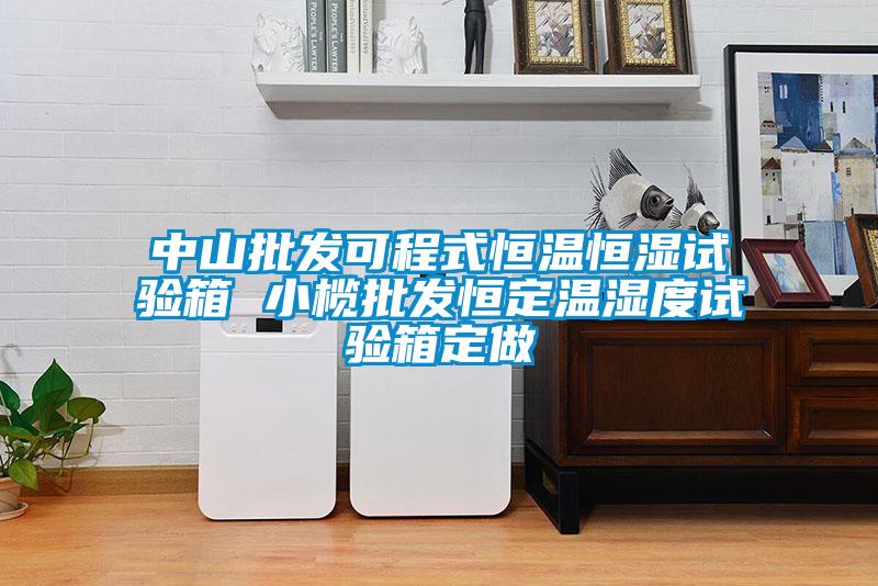 中山批發(fā)可程式恒溫恒濕試驗(yàn)箱 小欖批發(fā)恒定溫濕度試驗(yàn)箱定做