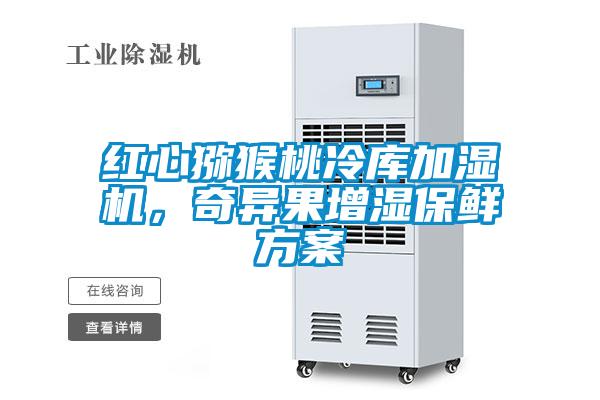 紅心獼猴桃冷庫加濕機，奇異果增濕保鮮方案