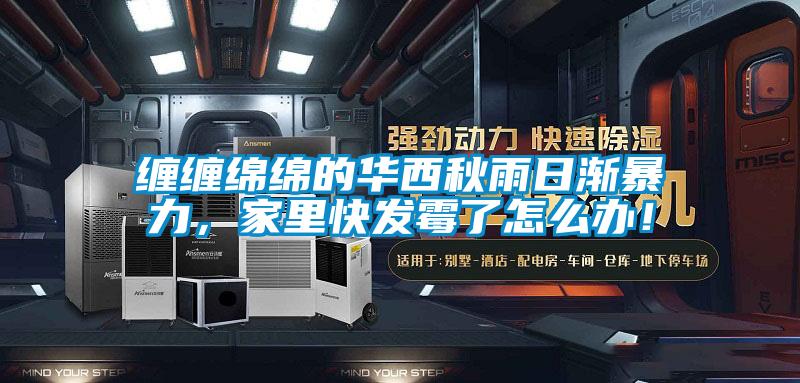 纏纏綿綿的華西秋雨日漸暴力，家里快發霉了怎么辦！