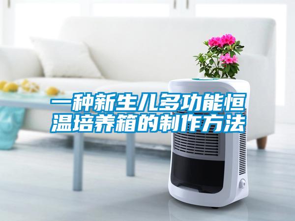 一種新生兒多功能恒溫培養(yǎng)箱的制作方法