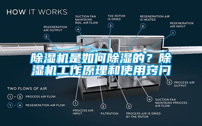 除濕機是如何除濕的？除濕機工作原理和使用竅門