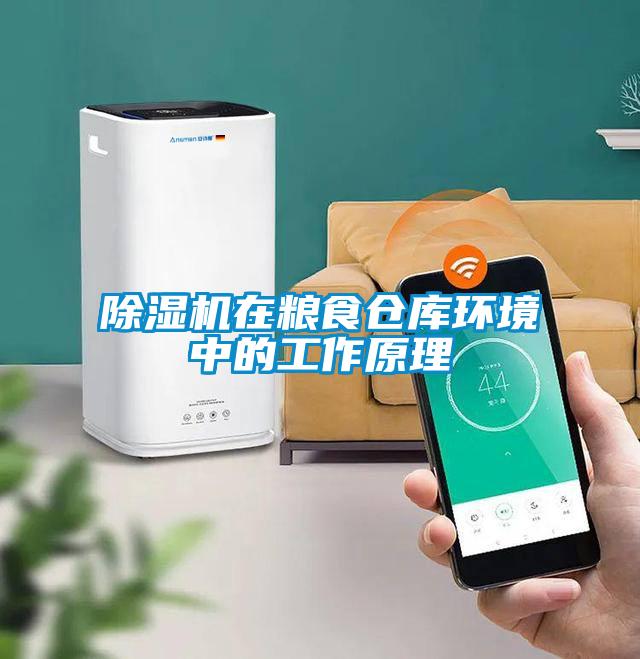 除濕機在糧食倉庫環境中的工作原理