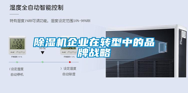除濕機企業(yè)在轉(zhuǎn)型中的品牌戰(zhàn)略