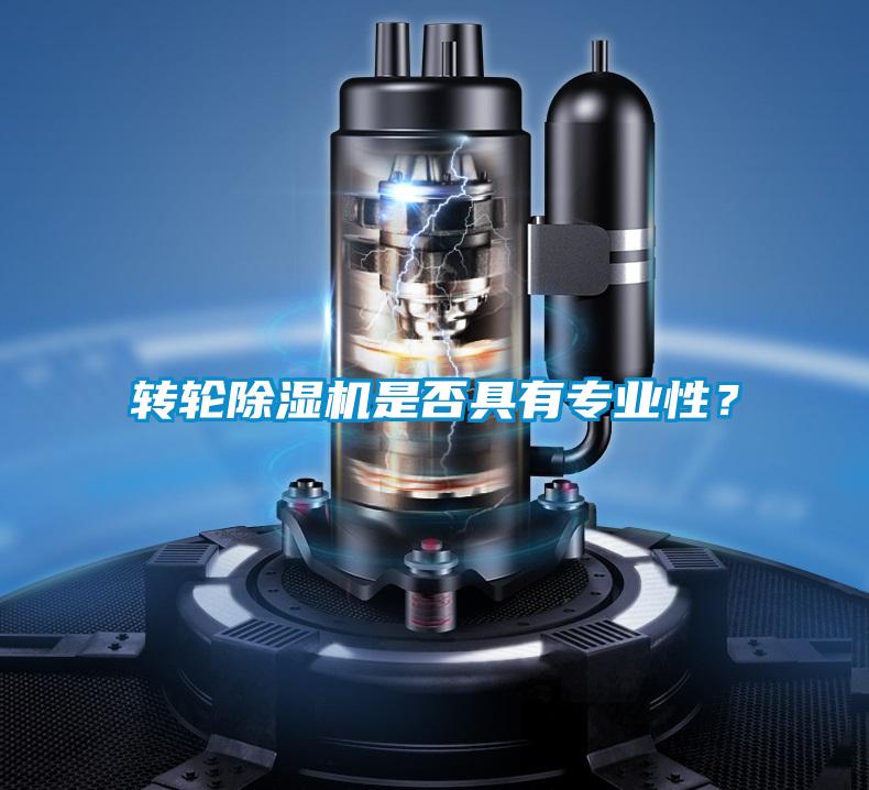 轉(zhuǎn)輪除濕機是否具有專業(yè)性？