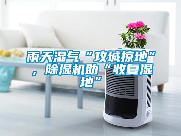 雨天濕氣“攻城掠地”，除濕機助“收復濕地”