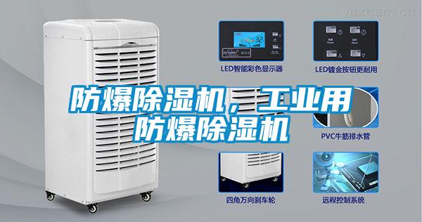 防爆除濕機，工業(yè)用防爆除濕機