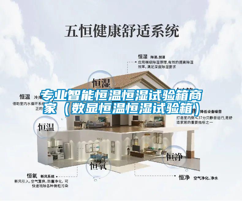專業(yè)智能恒溫恒濕試驗箱商家（數(shù)顯恒溫恒濕試驗箱）