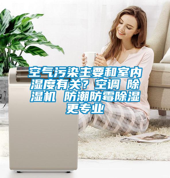 空氣污染主要和室內(nèi)濕度有關？空調(diào)≠除濕機 防潮防霉除濕更專業(yè)