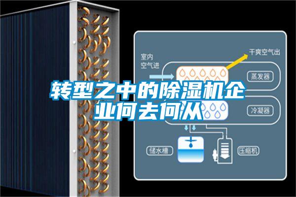 轉(zhuǎn)型之中的除濕機(jī)企業(yè)何去何從