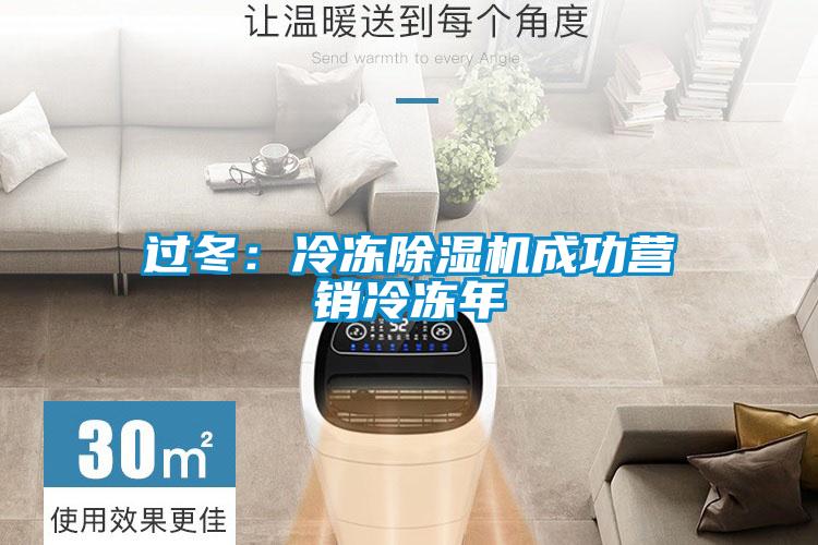 過冬：冷凍除濕機(jī)成功營銷冷凍年