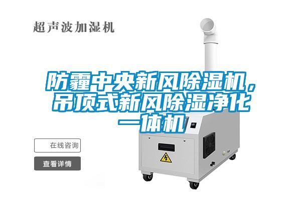 防霾中央新風(fēng)除濕機(jī)，吊頂式新風(fēng)除濕凈化一體機(jī)