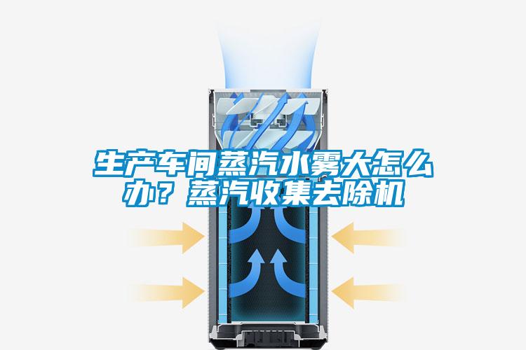 生產(chǎn)車間蒸汽水霧大怎么辦？蒸汽收集去除機(jī)