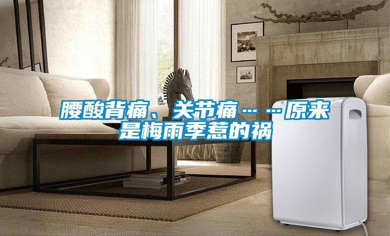 腰酸背痛、關(guān)節(jié)痛……原來是梅雨季惹的禍