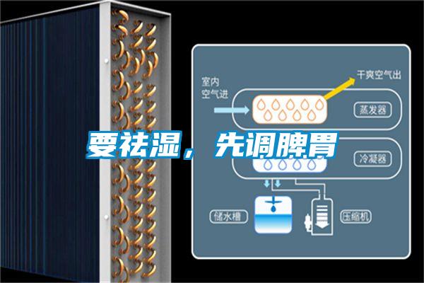 要祛濕，先調脾胃