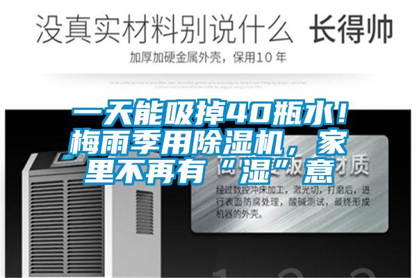 一天能吸掉40瓶水！梅雨季用除濕機，家里不再有“濕”意