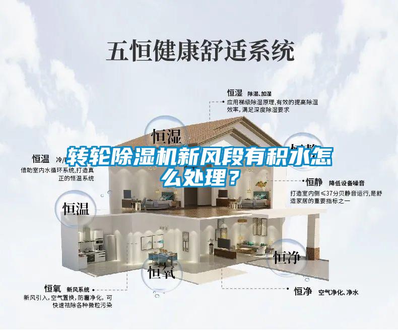轉輪除濕機新風段有積水怎么處理？