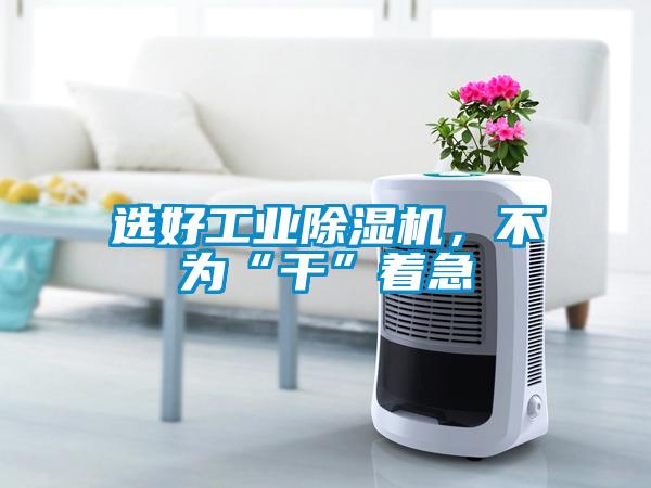 選好工業(yè)除濕機，不為“干”著急
