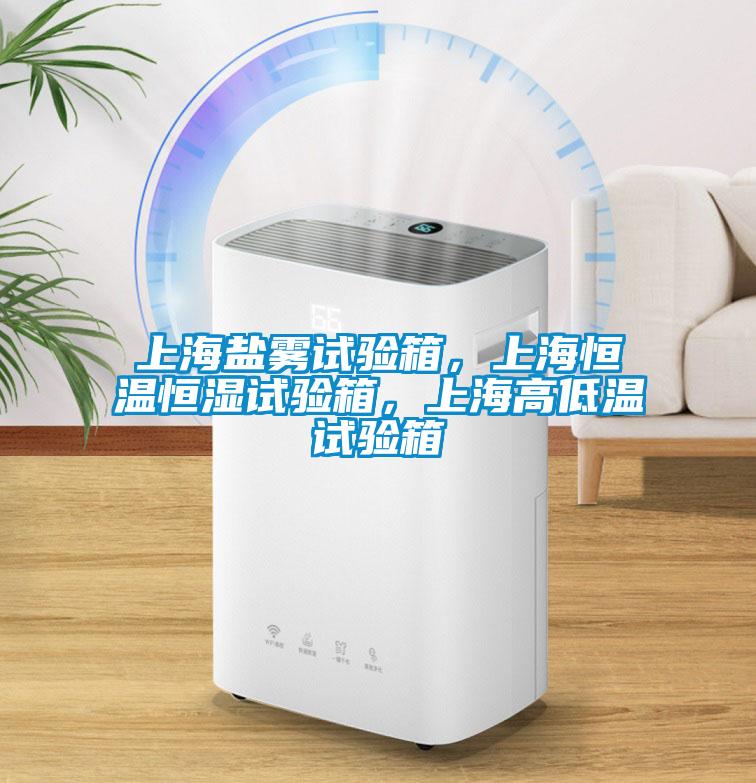 上海鹽霧試驗(yàn)箱，上海恒溫恒濕試驗(yàn)箱，上海高低溫試驗(yàn)箱