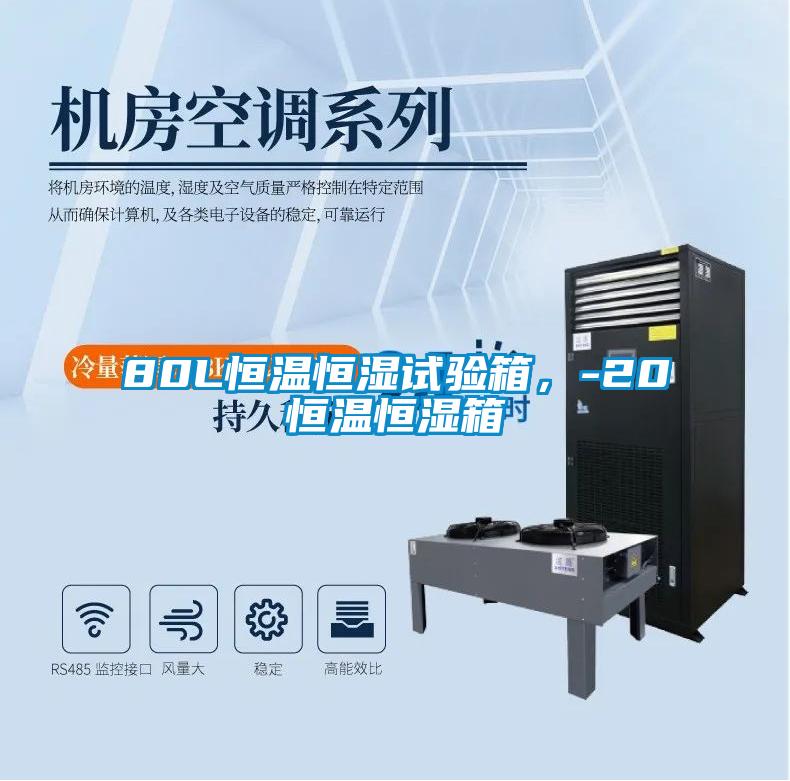 80L恒溫恒濕試驗箱，-20℃恒溫恒濕箱