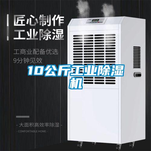 10公斤工業(yè)除濕機(jī)